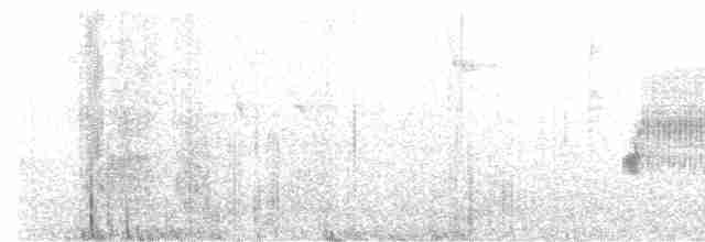 גיבתונית לבנת-גרון - ML619583546