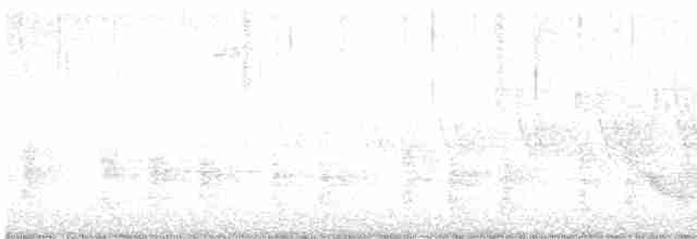 volavka velká [skupina herodias] - ML619583591