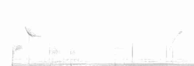 Ивовый мухолов - ML619583605