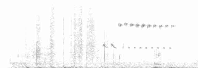 Black-throated Sparrow - ML619584013