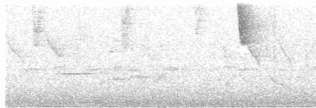 Turuncu Gagalı Bülbül Ardıcı - ML619584249