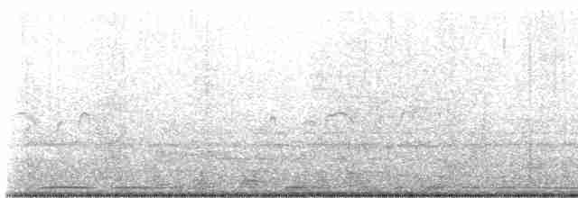 Eurasian Collared-Dove - ML619584491