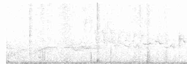Дрізд-короткодзьоб бурий - ML619584652