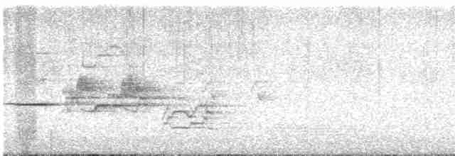 Дрозд-отшельник - ML619585102