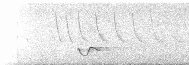 Длинноклювый крапивник - ML619585285