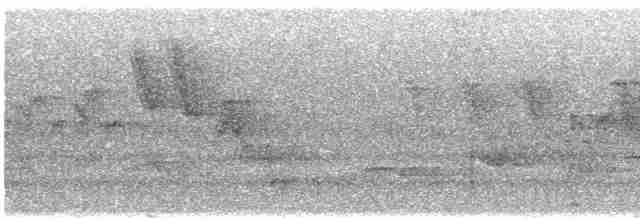 Cerulean Warbler - ML619585406