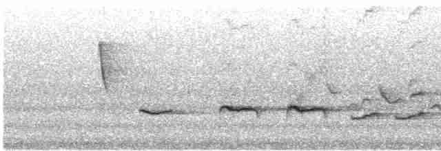 Cerulean Warbler - ML619585561