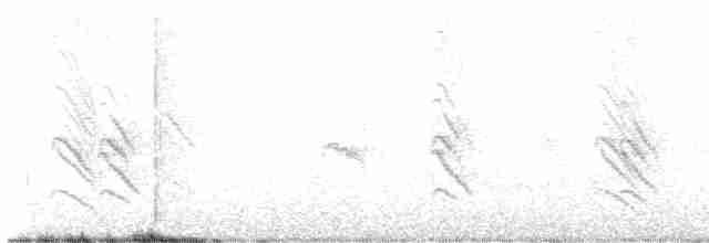 Hirondelle à front blanc - ML619585714