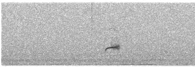 Дрізд-короткодзьоб Cвенсона - ML619585790