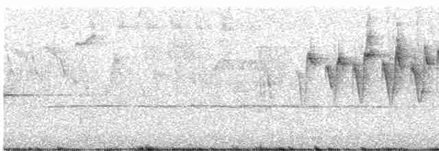 Paruline à calotte noire - ML619585919
