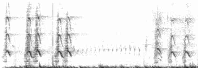 חרמשון ארוך-מקור - ML619586248