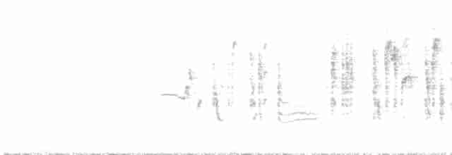 Txinbo papargorrizta iberiarra - ML619586832