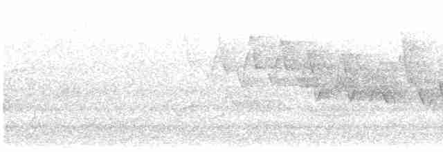 Черногорлая хвойница - ML619587905