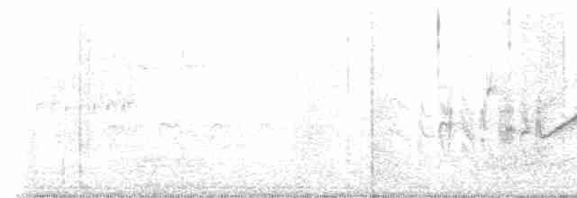 Braunaugenvireo (pusillus) - ML619588016