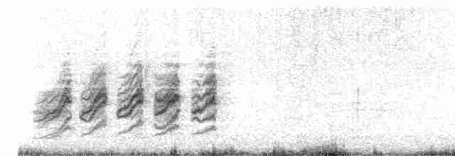 Кропив'янка сіра - ML619588289