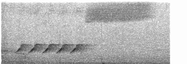 Sperlingsvogel, unbestimmt - ML619588413