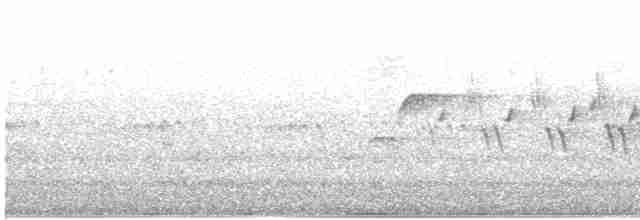 Paruline verdâtre - ML619589002
