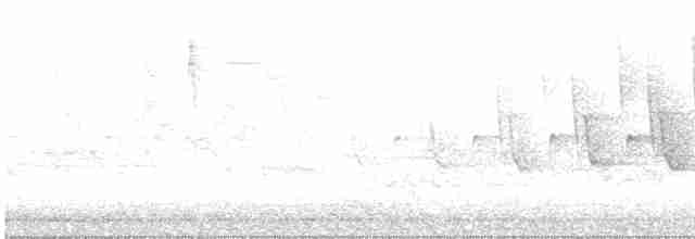 Paruline couronnée - ML619590220
