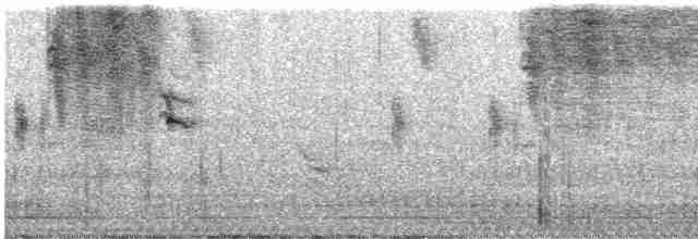 Kara Yüzlü Tohumcul - ML619590243