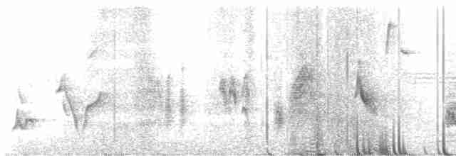 Пересмішник сірий - ML619590278