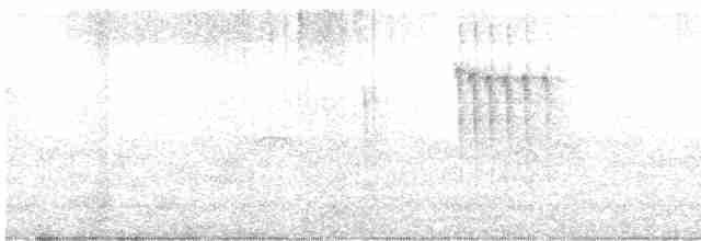 Mohoua à tête blanche - ML619590296