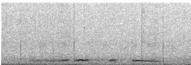 Белокрылая горлица - ML619590359