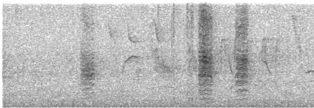 Oriole de Bullock - ML619590400