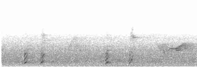 Воротничковый рябчик - ML619590646