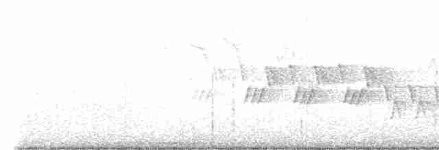 Черногорлая хвойница - ML619590680