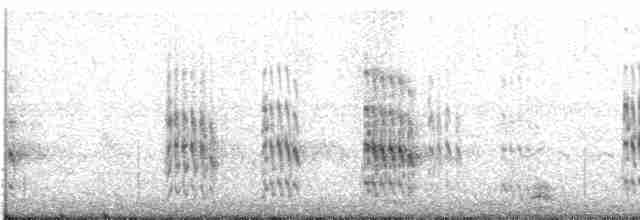 Kısa Kuyruklu Bataklıkkırlangıcı - ML619590696