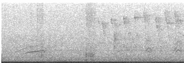 Paruline à calotte noire - ML619590951