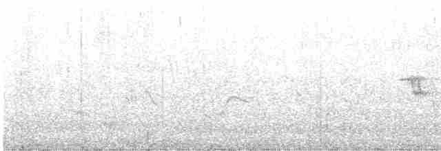 ゴマフスズメ（schistacea グループ） - ML619591292