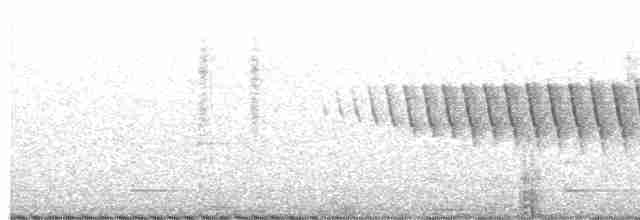 Paruline de Lucy - ML619591403