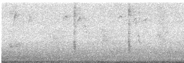 歐洲椋鳥 - ML619591436