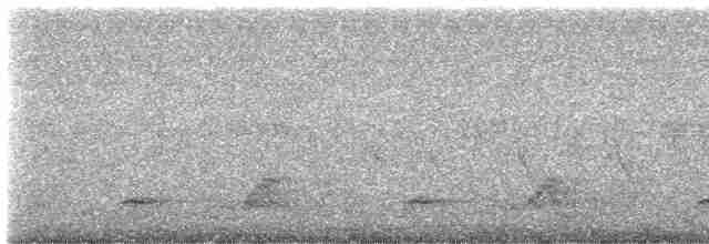 Черноклювая гагара - ML619591868