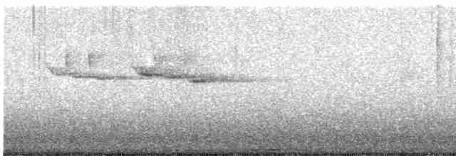 vlhovec červenokřídlý - ML619592489