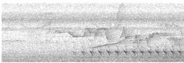 Белоухий крапивник - ML619592821