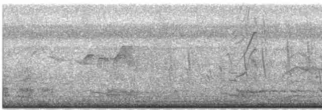 Серогрудая ласточка - ML619592831