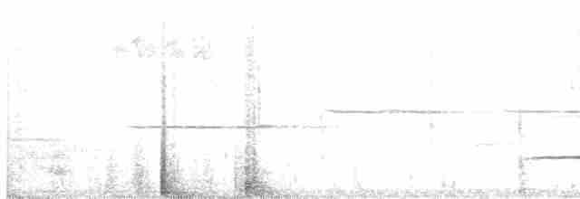 Дрозд-отшельник - ML619592895