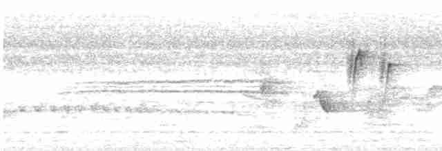 Малабарская нектарница - ML619593804