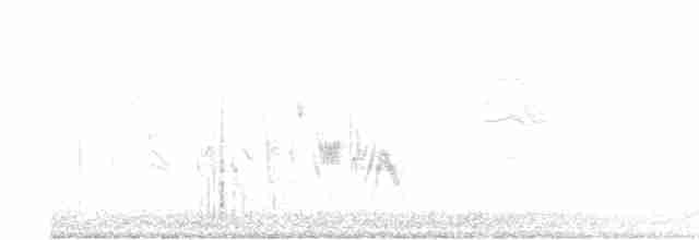 Пеночковый виреон - ML619593823