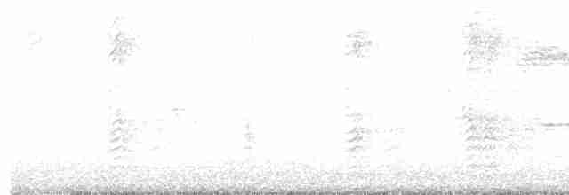 オオクロムクドリモドキ（versicolor） - ML619594091