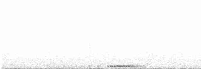 holub skalní (domácí) - ML619594527