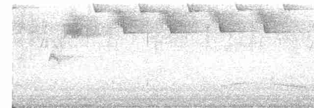 ミナミアサギアメリカムシクイ - ML619595172