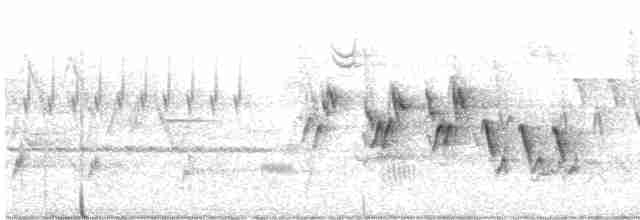 Черногорлая хвойница - ML619595398