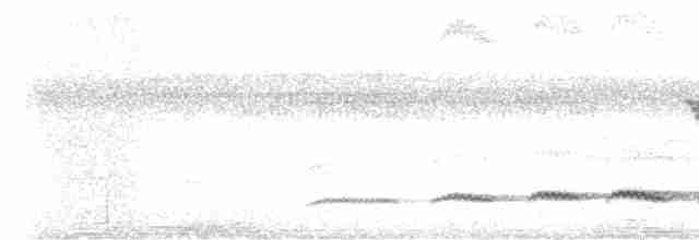 Büyük Atmaca Guguğu - ML619595731