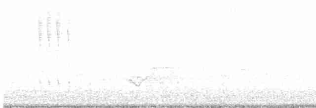 Рубиновогорлый колибри - ML619595749