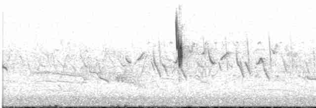 Тростниковый крапивник - ML619595920
