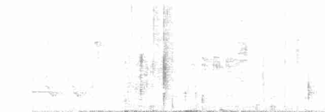 Méliphage carillonneur - ML619596551
