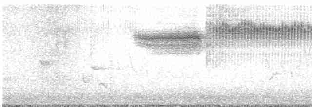Голубокрылая червеедка - ML619597099